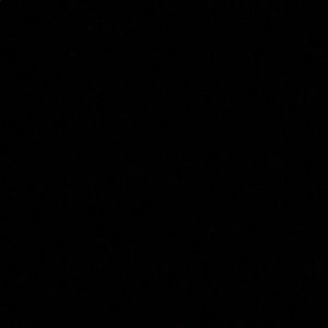 Meet your Posher, Aleesha